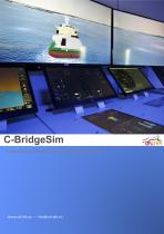 C-BridgeSim-brochure-v02.0_ES