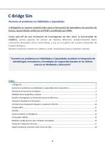 C-BridgeSim-brochure-v02.0_ES - 2