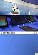 Cal-tek_CBridgeSim_EN