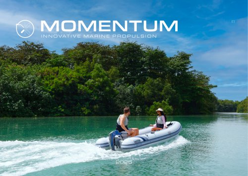 Folleto de Momentum