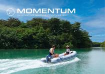 Folleto de Momentum
