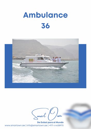 Ambulance 36