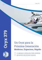 Oryx 379 Sports Cruiser - 4