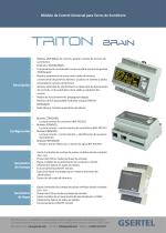 TRITON BRAIN - 1