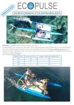 ECOPULSE